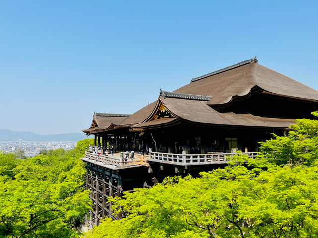 Kiyomizu-dera Temple and Yasaka Shrine, Gion tour